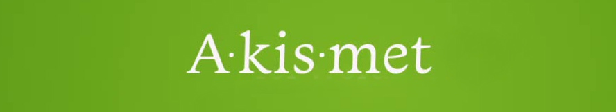 Akismet WordPress Security